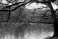 2018_01_27_Lac de Panneciere (0023)